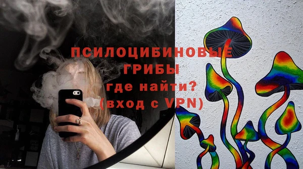 молекула духа Верхний Тагил