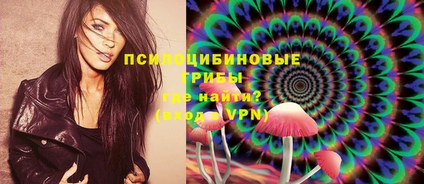 стаф Верея
