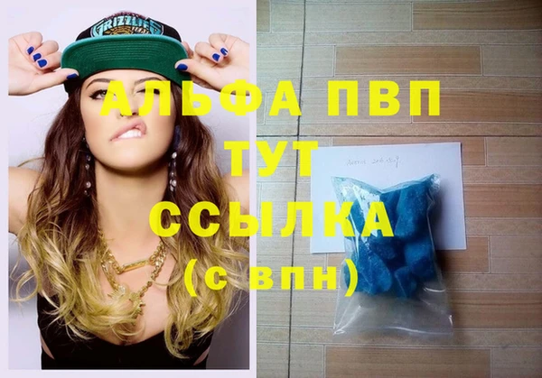 стаф Верея