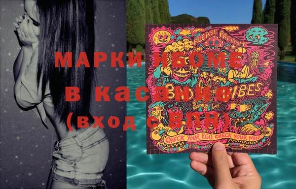 стаф Верея