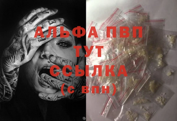 стаф Верея