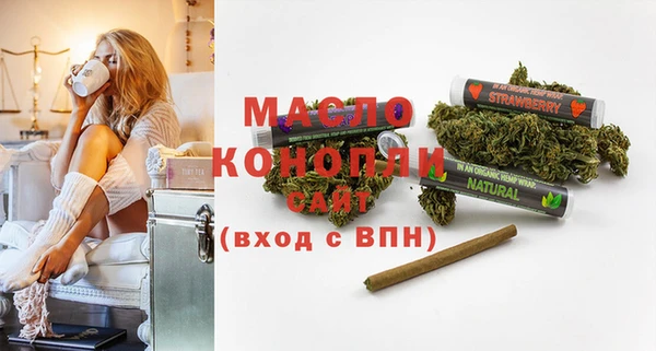 молекула духа Верхний Тагил
