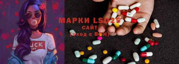 стаф Верея
